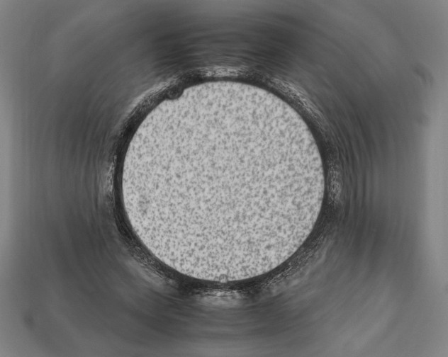 X0000112510543200909280957