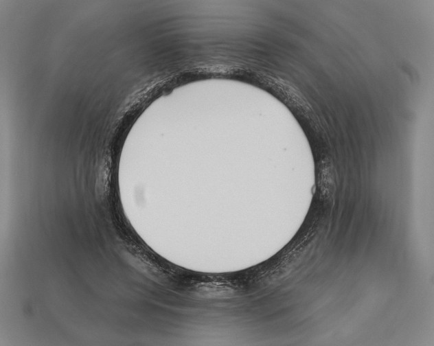 X0000112510544200909280957