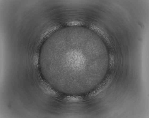 X0000112510545200909280957