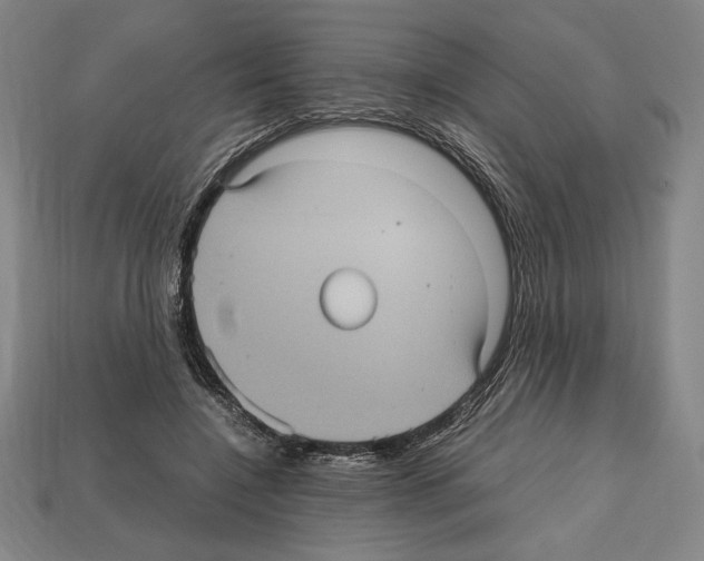 X0000112510548200909280957