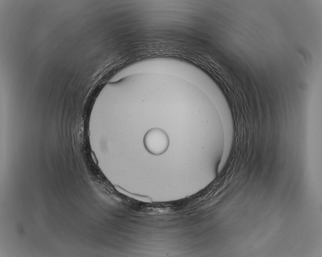 X0000112510552200909280958