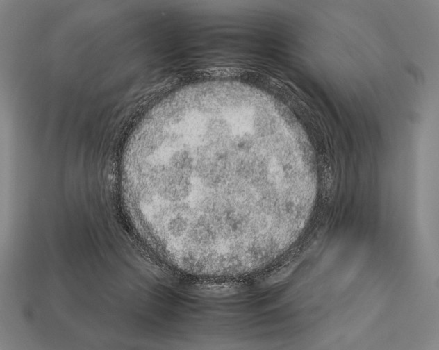 X0000112510553200909280958