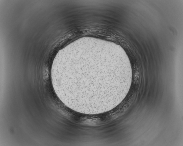 X0000112510555200909280958