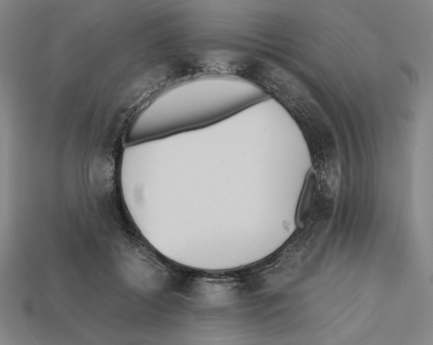 X0000112510556200909280958