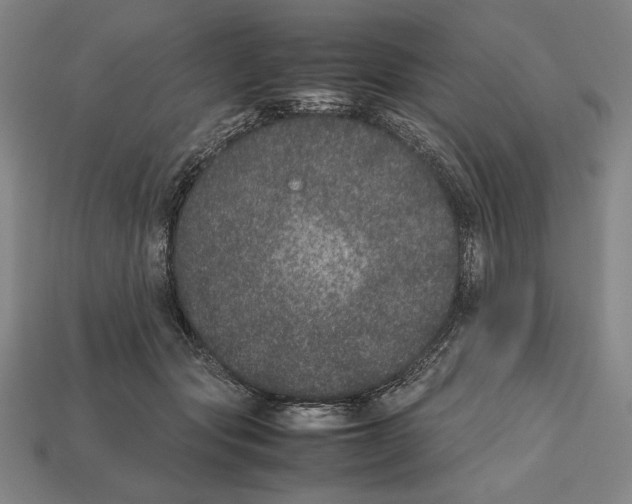 X0000112510557200909280958