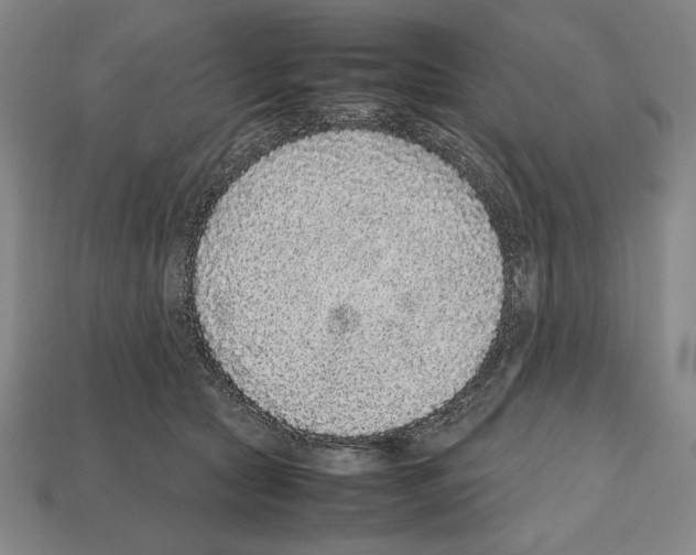 X0000112510561200909280958