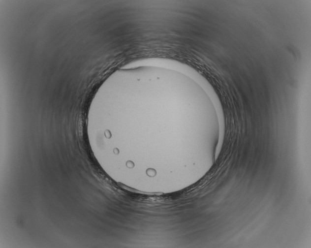 X0000112510562200909280958