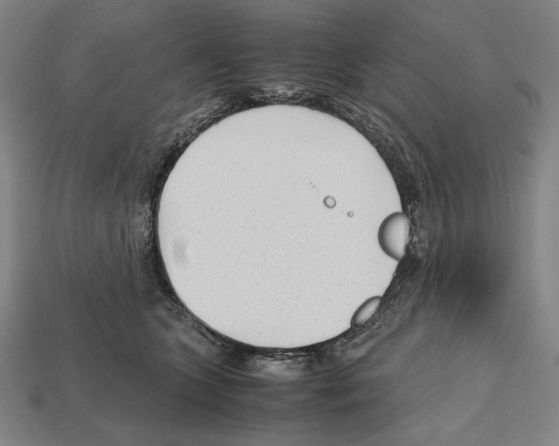 X0000112510563200909280958