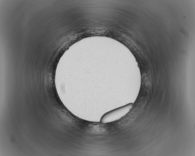 X0000112510564200909280958