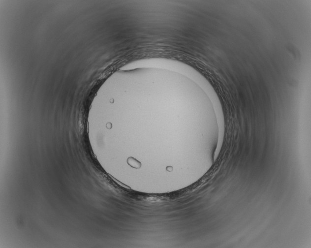 X0000112510566200909280958