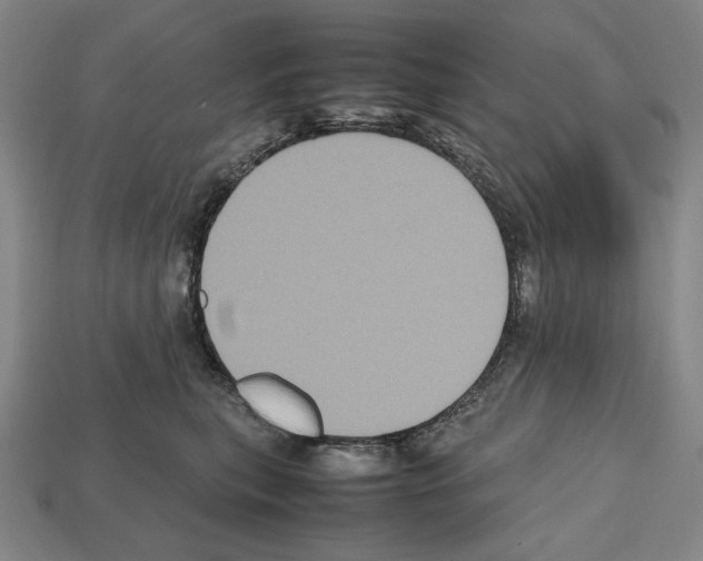 X0000112510567200909280958