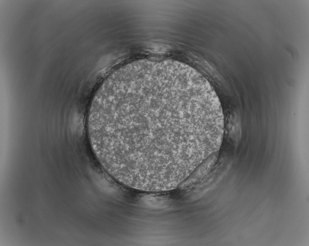 X0000112510568200909280958