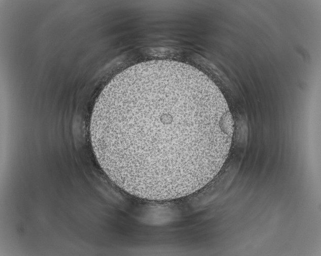 X0000112510569200909280958