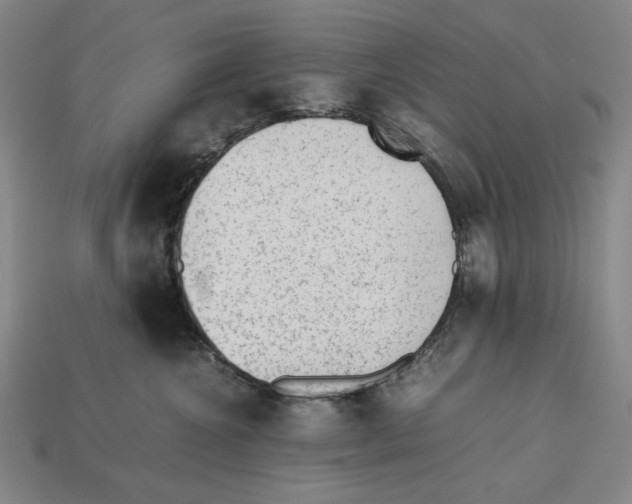 X0000112510572200909280958