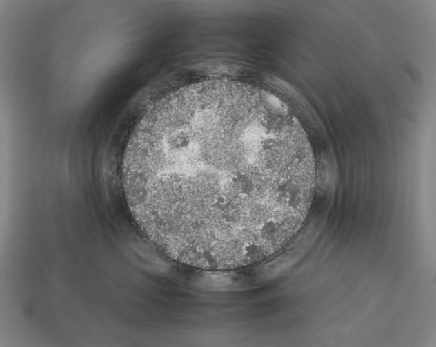 X0000112510573200909280958