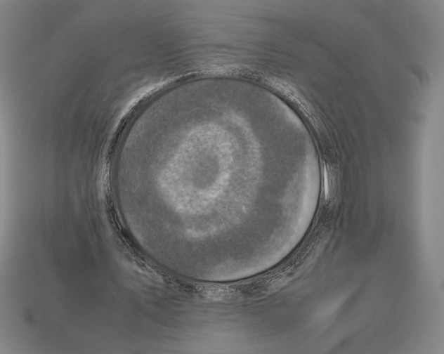 X0000112510579200909280957