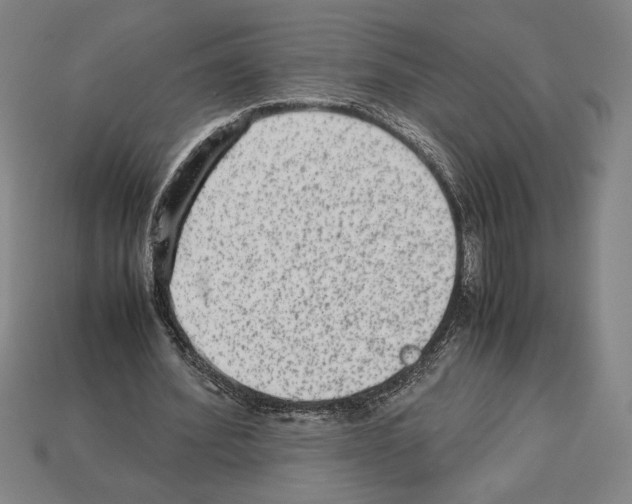 X0000112510580200909280957