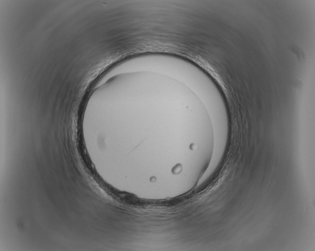 X0000112510581200909280957