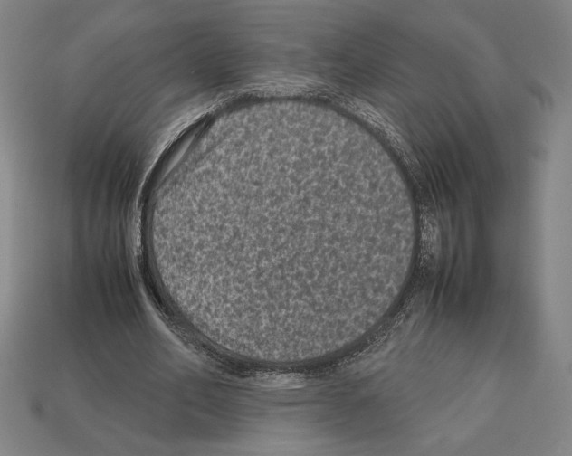 X0000112510582200909280957