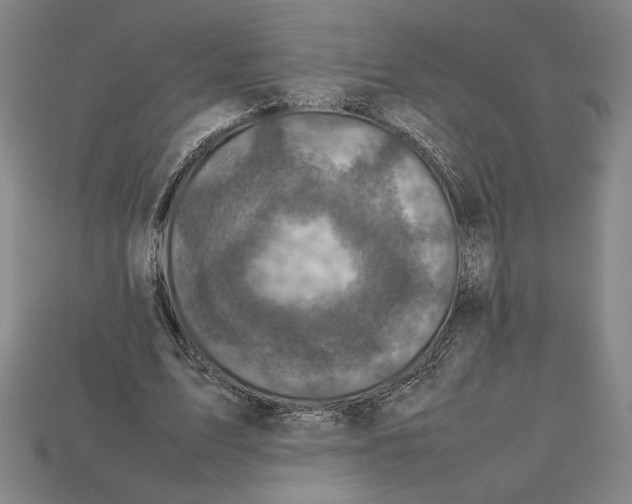 X0000112510583200909280957