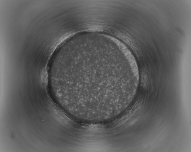 X0000112510584200909280957