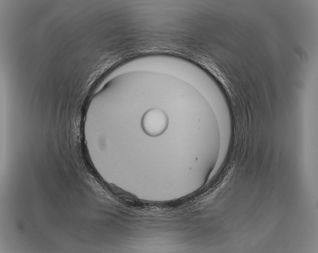 X0000112510585200909280957