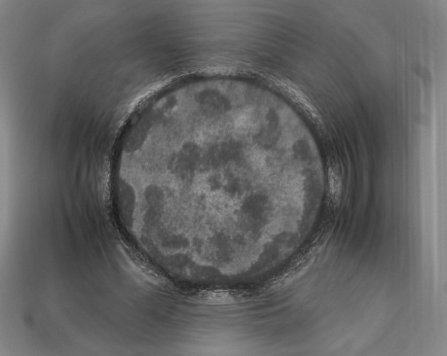 X0000112510588200909280957