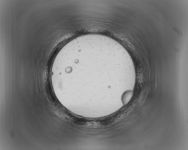 X0000112510591200909280957