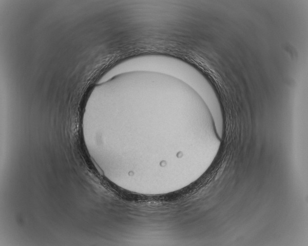 X0000112510593200909280957