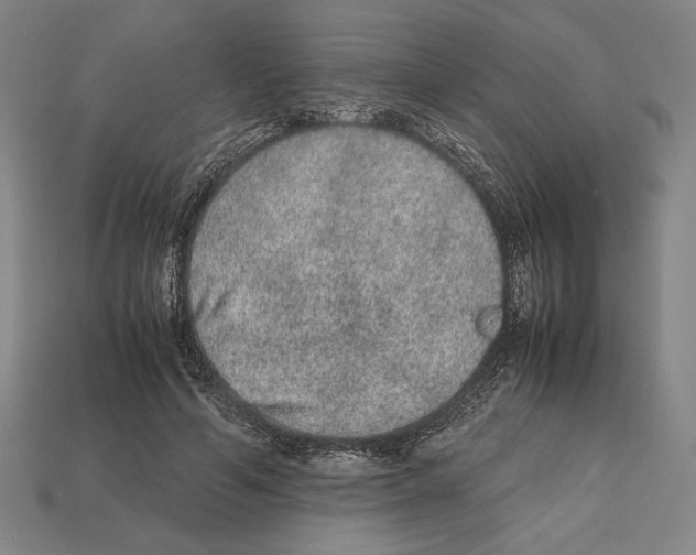 X0000112510594200909280957