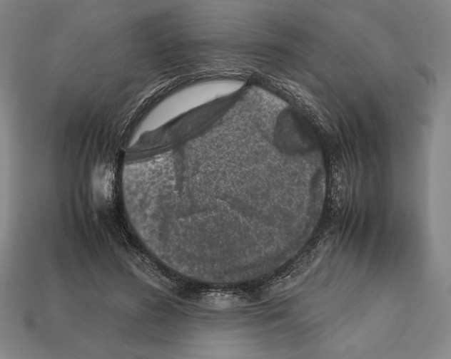 X0000112510596200909280957