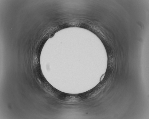 X0000112510597200909280957