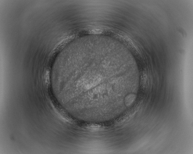 X0000112510598200909280957