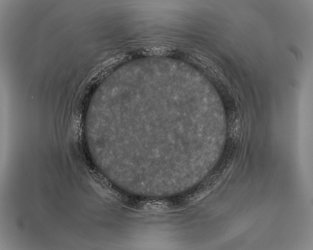 X0000112510599200909280957