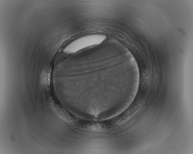 X0000112510600200909280957