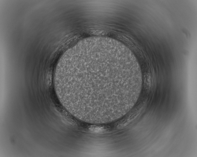 X0000112510602200909280957