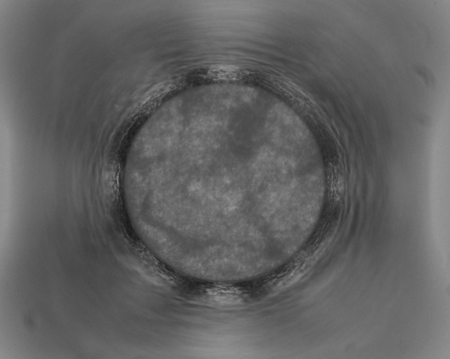 X0000112510603200909280957