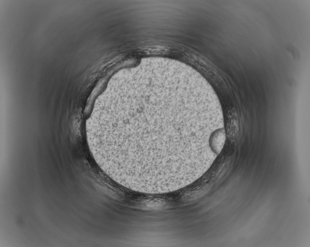 X0000112510604200909280957