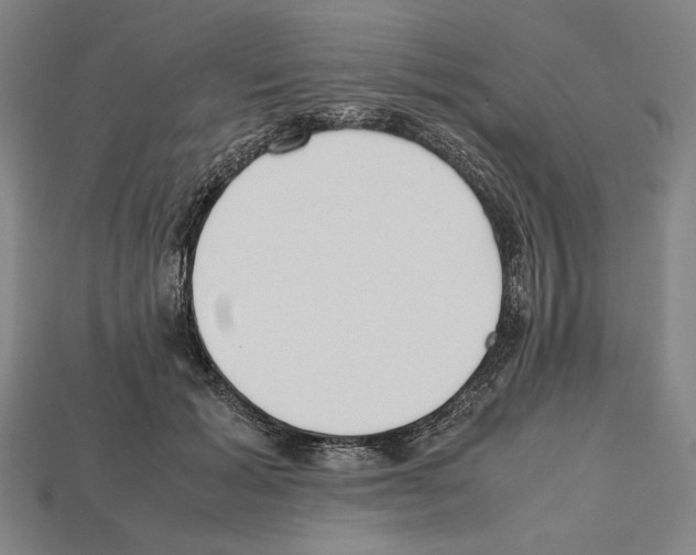 X0000112510605200909280957