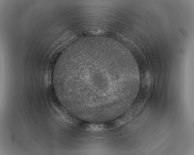 X0000112510606200909280957