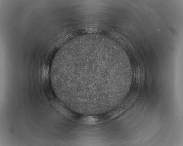 X0000112510610200909280957