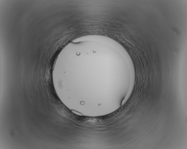 X0000112510611200909280957