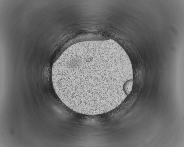 X0000112510612200909280957