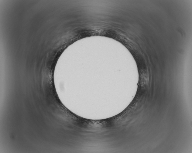 X0000112510613200909280957