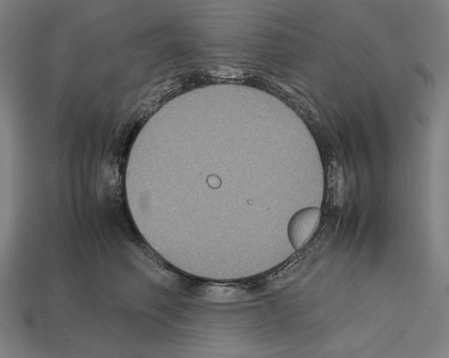 X0000112510614200909280957