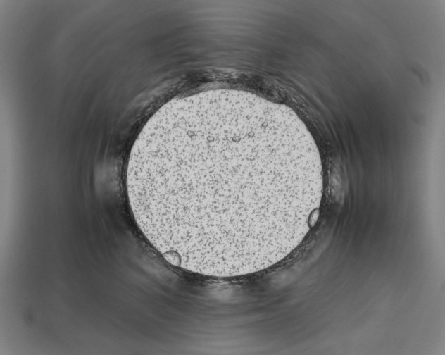 X0000112510616200909280957