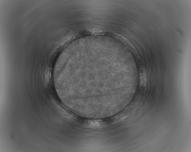 X0000112510618200909280957