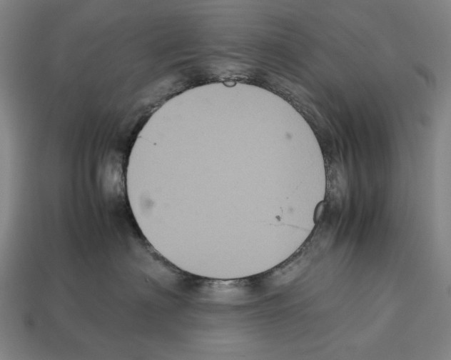 X0000112510622200909280957