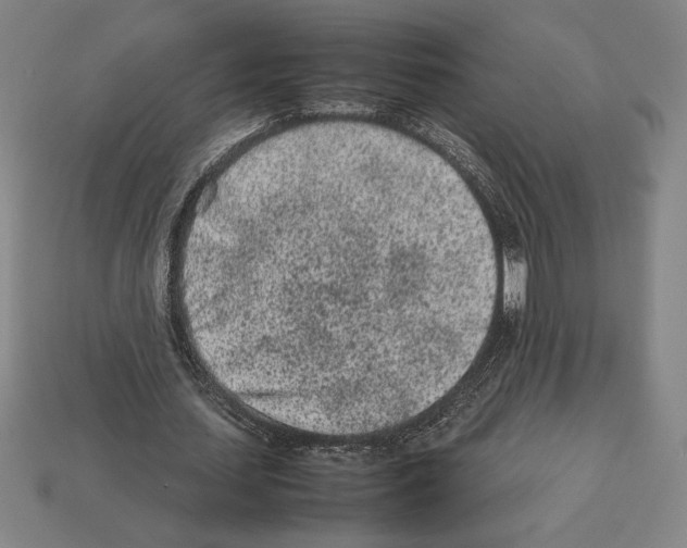 X0000112510627200909280956