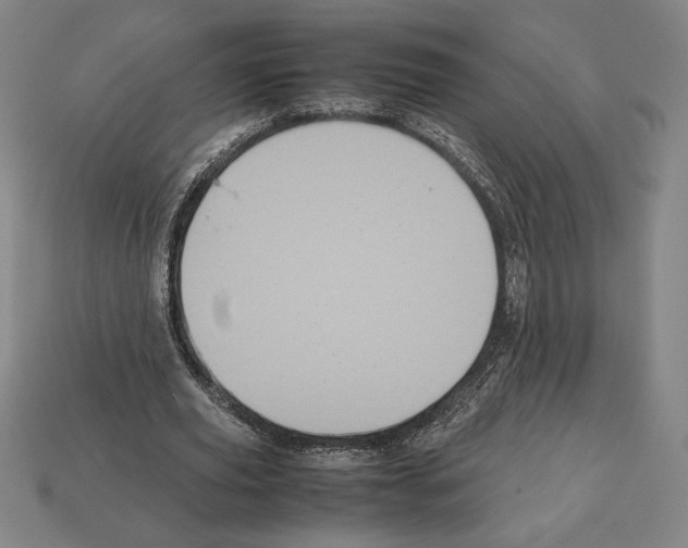 X0000112510629200909280956